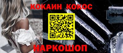 стафф Гатчина