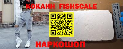 стафф Гатчина