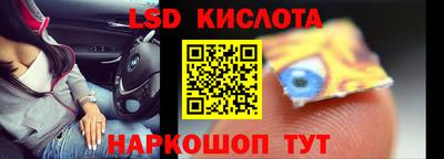 ECSTASY Гай