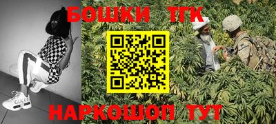 стафф Гатчина