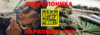 ECSTASY Гай