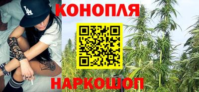 стафф Гатчина