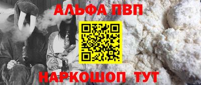 стафф Гатчина