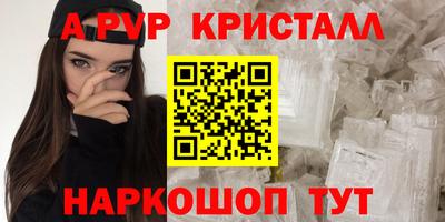 ECSTASY Гай