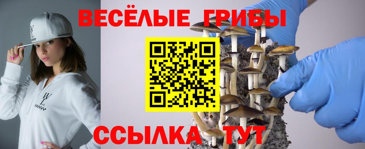 Псилоцибиновые грибы Psilocybe Нижний Тагил